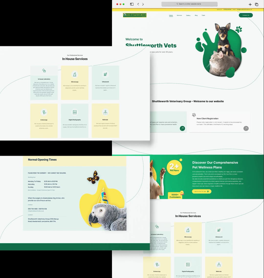 Web development